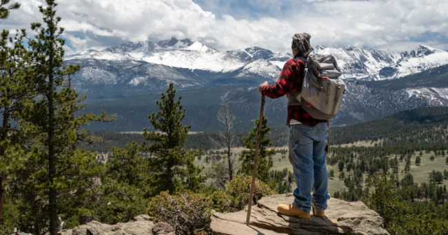 When it comes to teamwork, you would describe yourself as: