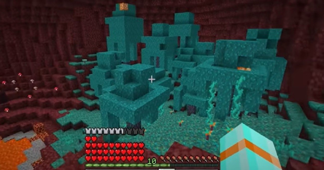 Did you succeed in obtaining the Ender Pearls?