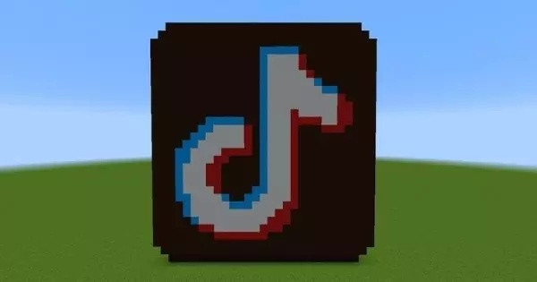 What Is Your Opinion About TikTok?