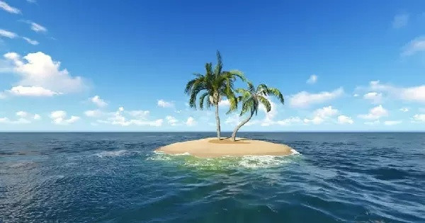 What would you do if you are left stranded on an Island?