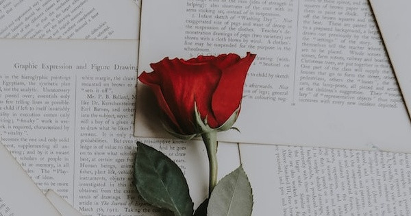 How do you define love?