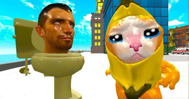 Do you own a piece of clothing or accessory featuring a Banana cat or a Skibidi toilet theme?