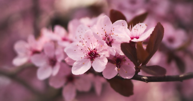 What season were you born in?