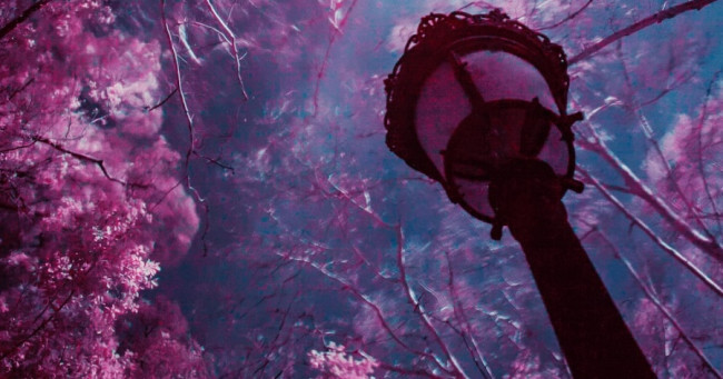 Who do your romantic fantasies usually center around?