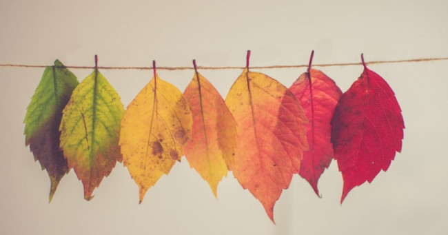 What is your favorite season?