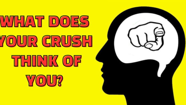 Pick Some Pride Colors And Know What Your Crush Thinks Of You